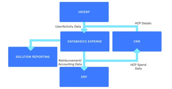 Databasics Expense Flow