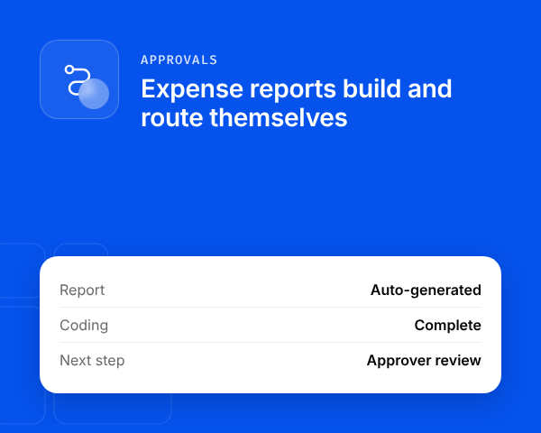 Reports Build and Route Themselves