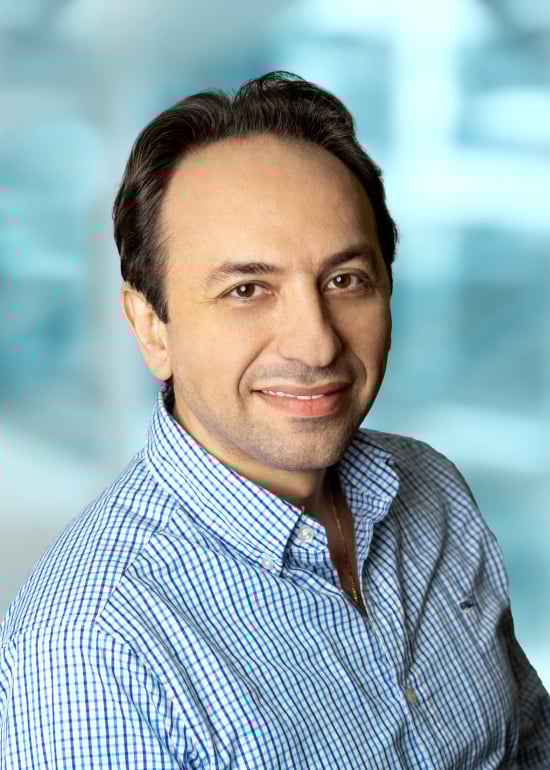 Loran Abdul Massih is a Software Test Engineer at DATABASICS. 