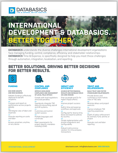 DATABASICS international development guide preview
